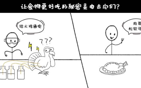 《疯狂的科学实验》连载：富兰克林也疯狂——电烤火鸡
