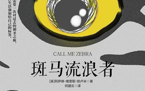 好书推荐：《斑马流浪者》
