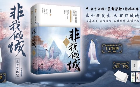 好书推荐：《非我倾城：王爷要休妃》