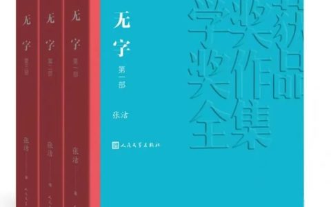 咸安区图书馆馆藏推荐第12期：《无字》