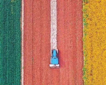 与你共读|诗意清明