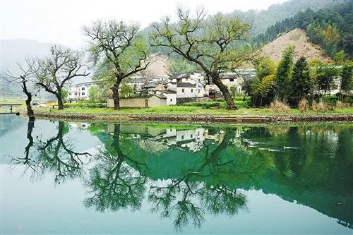 与你共读|诗意清明