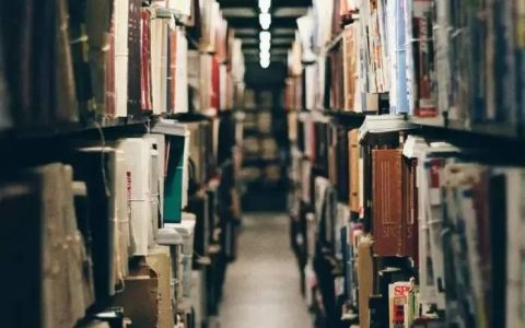 麦家：阅读是让自己“飞”的翅膀