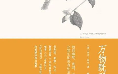 推书网推荐：浑身负能量的时候，就看这3本书