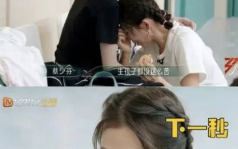 蔡少芬：我同意张晋再婚