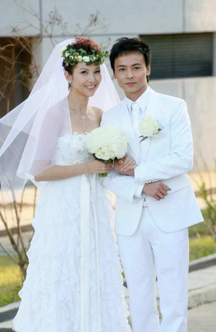 蔡少芬:我同意张晋再婚