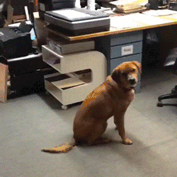 衣着暴露的“飞盘媛”,开始组局“约P”了?!