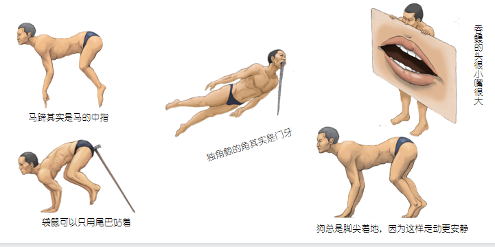 六一特别策划:共读 | 这本书4岁零360个月的小朋友能看吗(赠书)