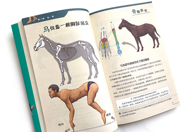 六一特别策划:共读 | 这本书4岁零360个月的小朋友能看吗(赠书)