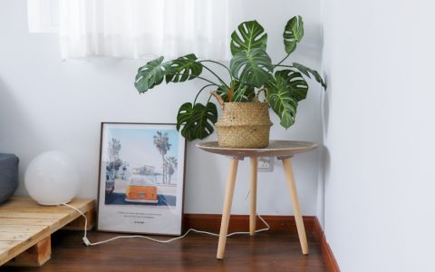 推书网书单推荐：二舅治愈不了我的精神内耗，这5本书才是我的解药