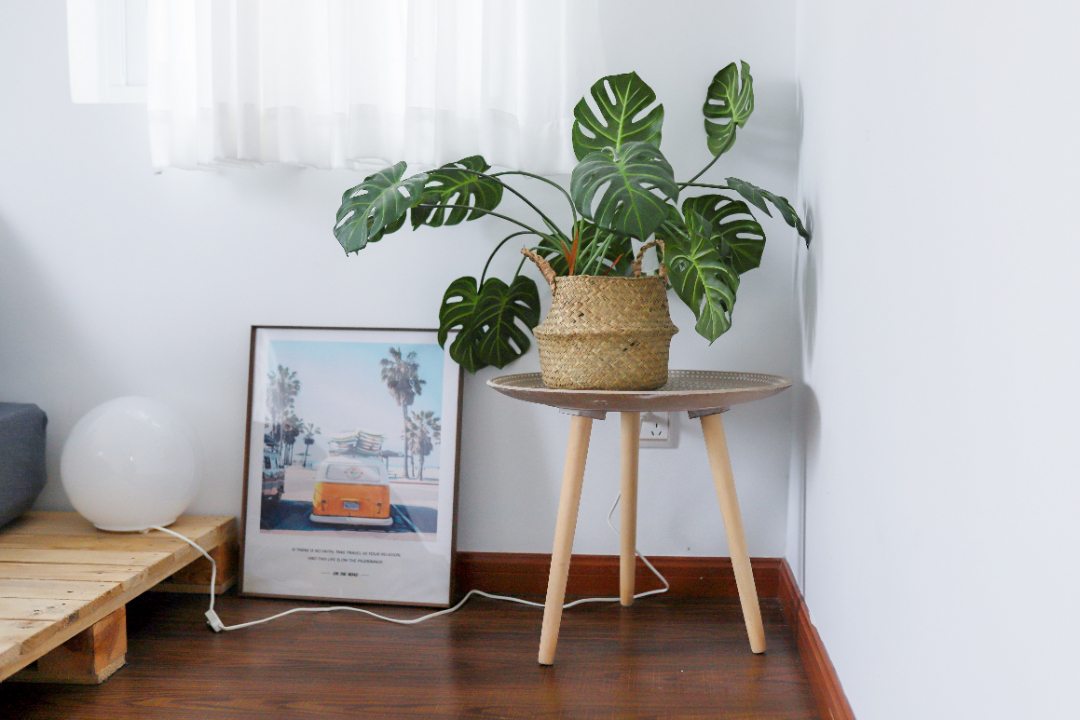 推书网书单推荐：二舅治愈不了我的精神内耗，这5本书才是我的解药