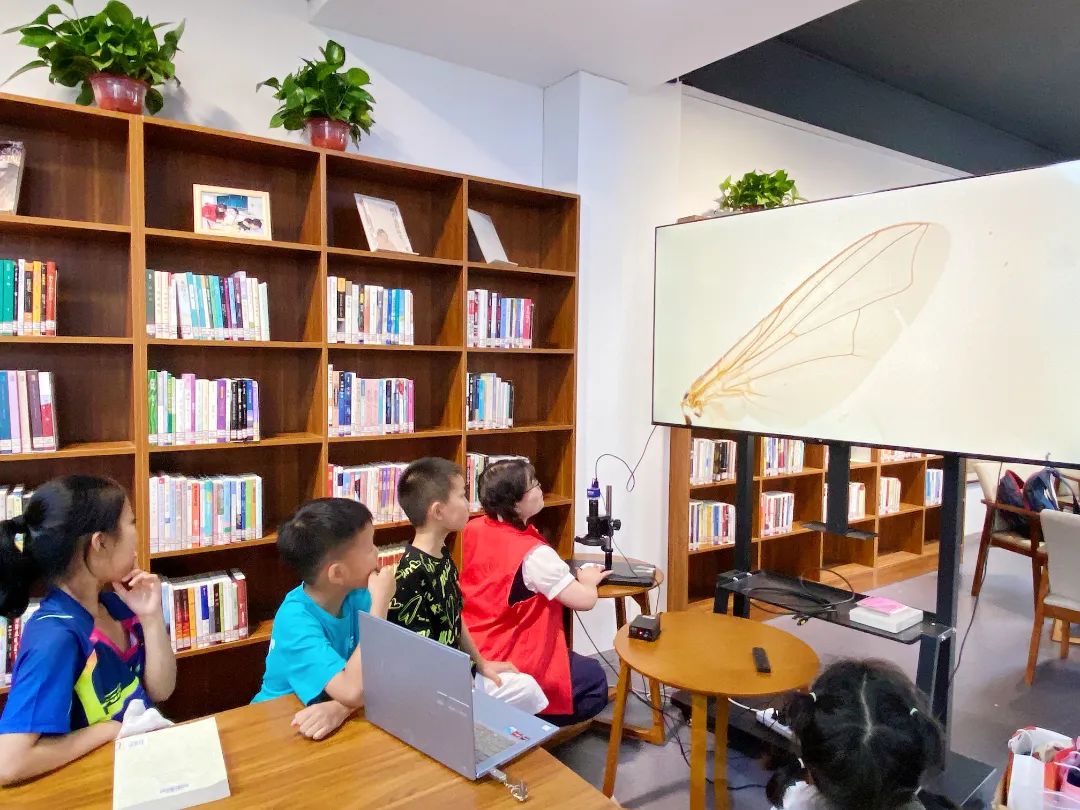 IMG_2423(20230529-150519).JPG 【活动回顾】咸宁市图书馆香城书房活动荟萃(5.27—5.28)