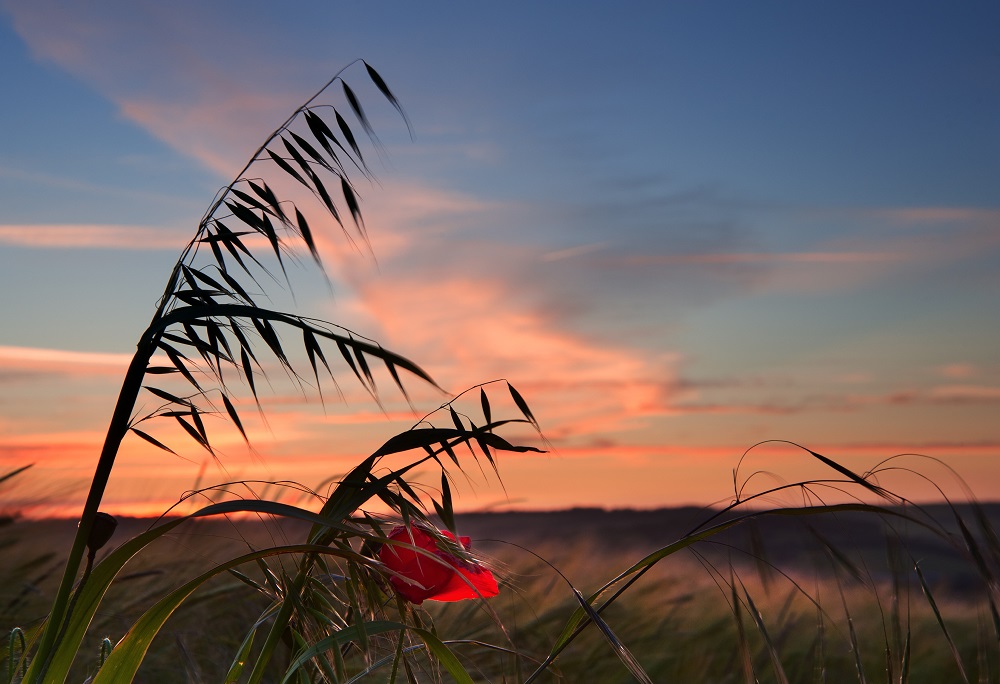 孙燕姿写《我的AI》引发轰动：毕竟“人是一根会思考的芦苇”