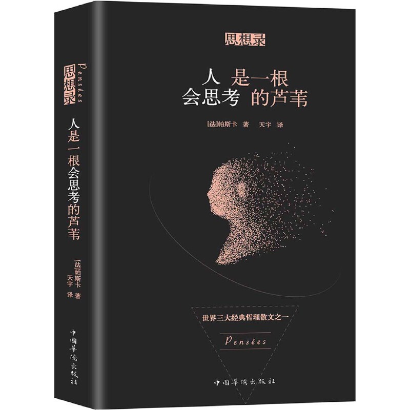 孙燕姿写《我的AI》引发轰动：毕竟“人是一根会思考的芦苇”