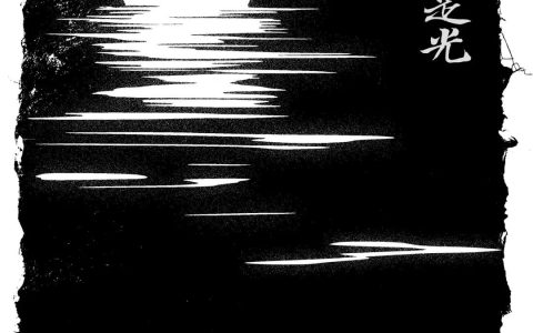 张书琴：埋葬在故里的月光