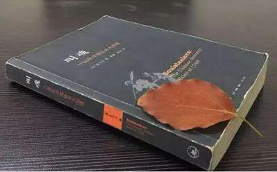 20230618051503166 20230618051503166