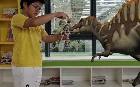 黄石市图书馆一周活动回顾