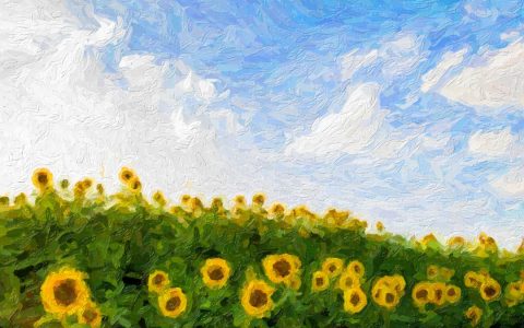 【书单推荐】人生没有意义，还值得一过吗？