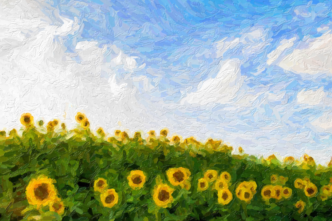 【书单推荐】人生没有意义，还值得一过吗？