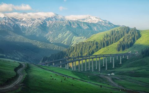 【推书网书单推荐】人生是旷野，不是轨道，我们有权拒绝一种生活