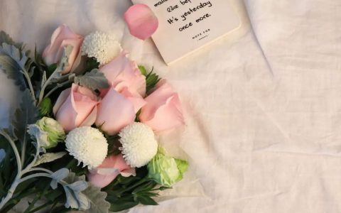 推书网书单推荐：捕捉生活奇趣，给夏日降降温