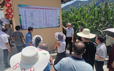 襄阳市图书馆驻村工作队对标先进 “取真经”  助力振兴 “谋新招”