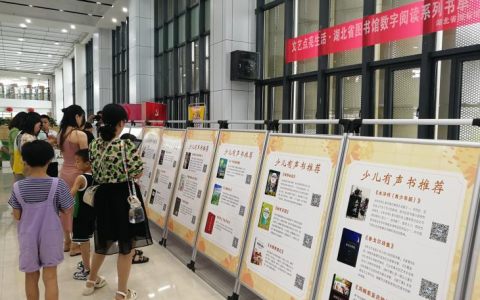 “文艺点亮生活”湖北省图书馆志愿服务总队走进京山