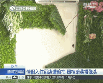 张含韵下体走光,现场照片流出,网友炸了:无耻!