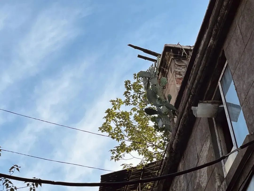 漫步江城,走进汉润里,寻找老武汉凝固的时光