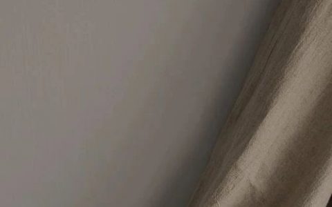 李冰冰私照曝光，遭网友公开羞辱：“这身材，真普通啊！”