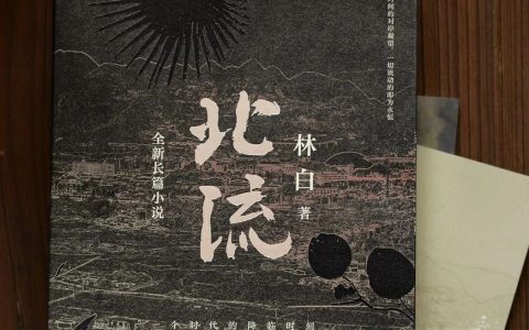 赏读《北流》：一部林白的《追忆逝水年华》