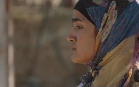 这本书太值得读一下了，尤其这时期，感触良多！