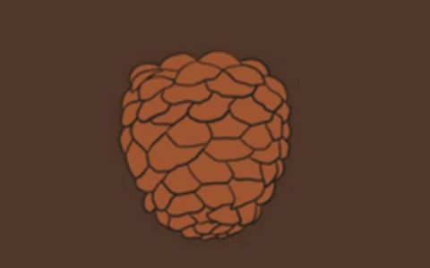 3本颠覆三观的古人笔记，老祖宗太疯狂了！