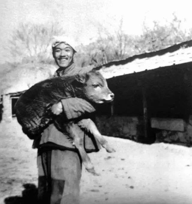 他走了13年，余华还是很想他