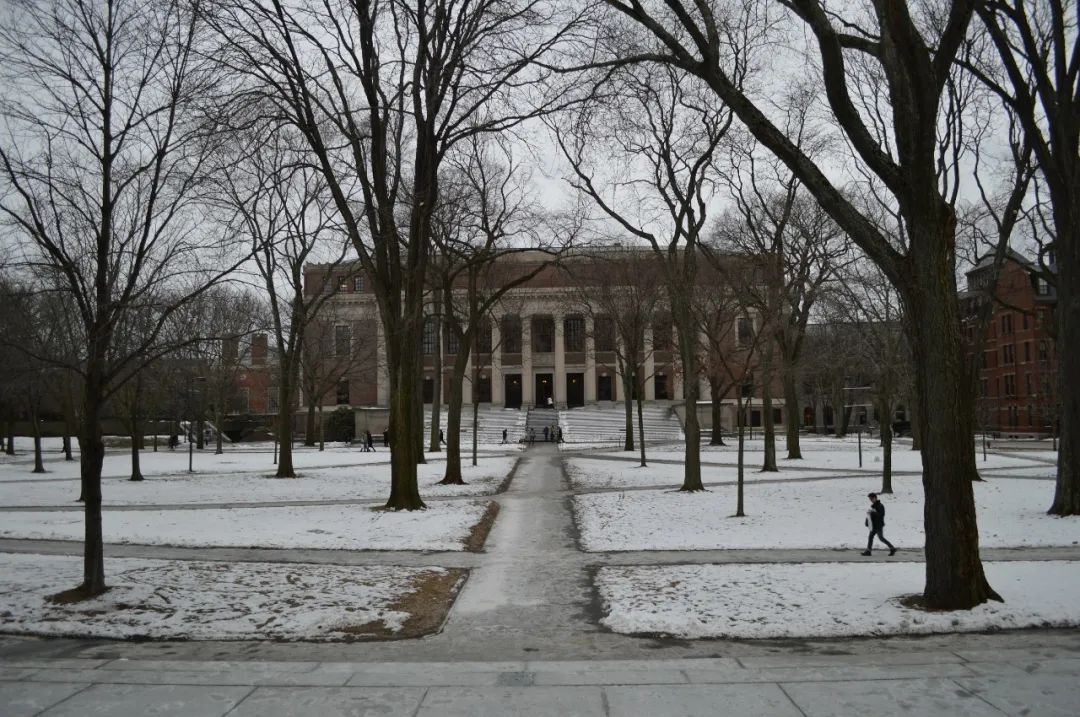 读者需要怎样的图书馆