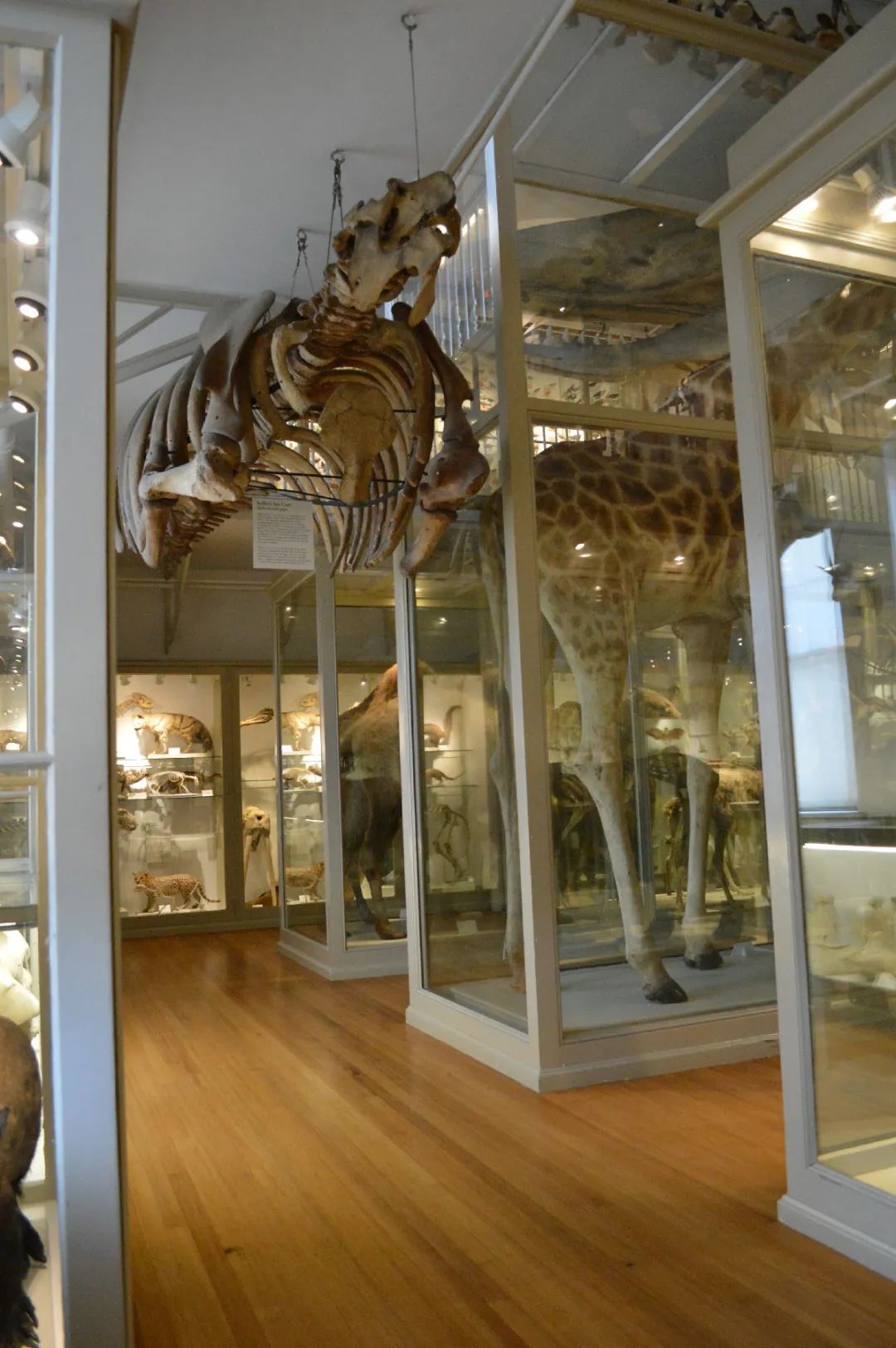 读者需要怎样的图书馆