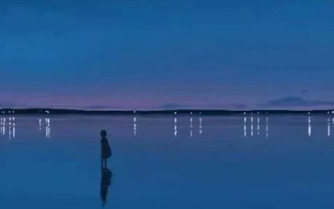 推书网推荐3本文笔细腻、引发独立思考的书籍！