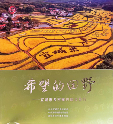 宜图典藏 · 地方文献精品荐读 | 第2期：《希望的田野》