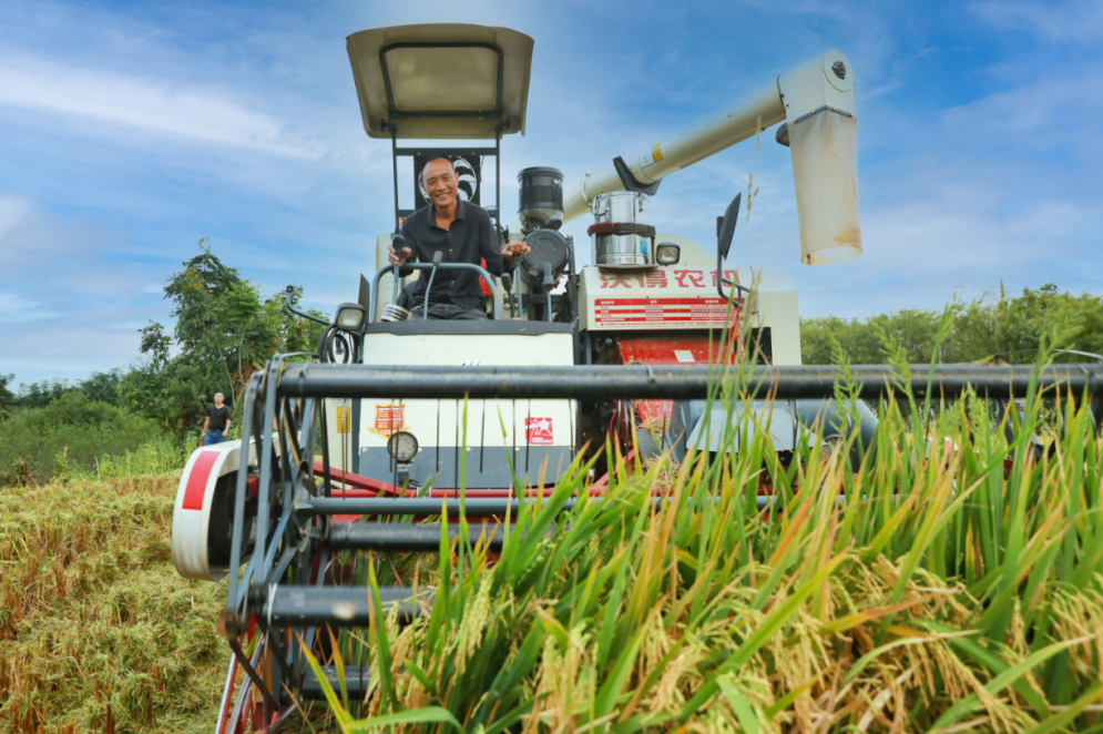 宜图典藏 · 地方文献精品荐读 | 第2期：《希望的田野》