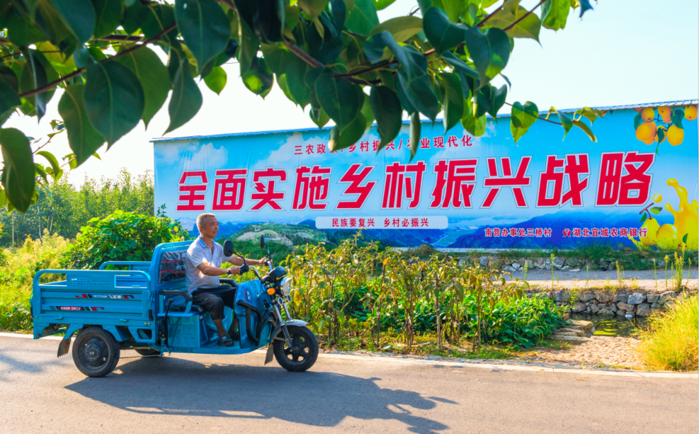 宜图典藏 · 地方文献精品荐读 | 第2期：《希望的田野》