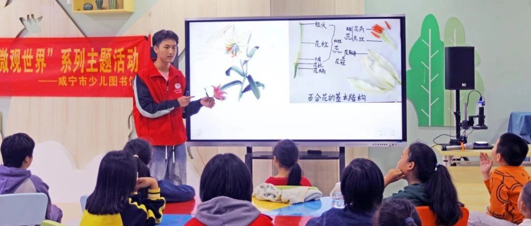 【活动回顾】阅满香城之“微观世界”系列主题活动（2023年第十六期）——“云裳仙子”主题活动