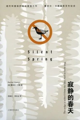 乔阳：在雪山和雪山之间