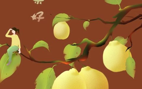 推书网推荐3本让人震惊的冷知识小书：肠子的小心思、走神的艺术与科学