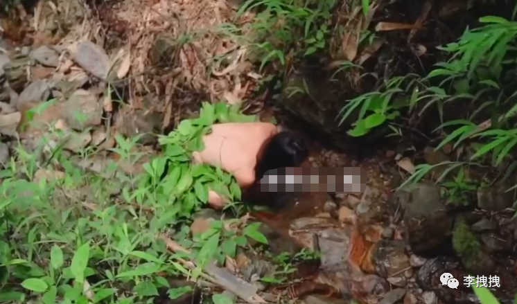 荒野求生搞黄色成为新潮流？