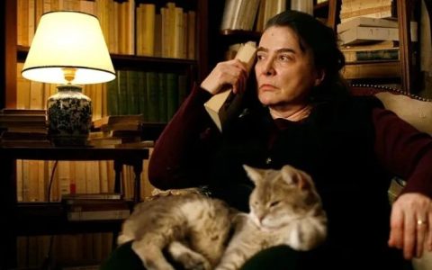 狐狸的灼心：一段露水情缘，一个异国孩子，一位“浪子”的一生执念