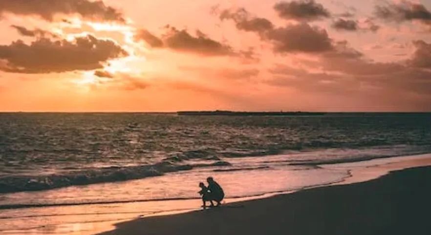 狐狸的灼心:一段露水情缘,一个异国孩子,一位“浪子”的一生执念