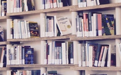 华景时代最具特色的历史佳作，2023年就读这4本！