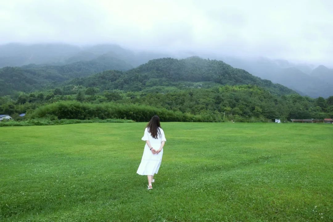 《不安的哲学》这或许是我见过反内耗最好的书!