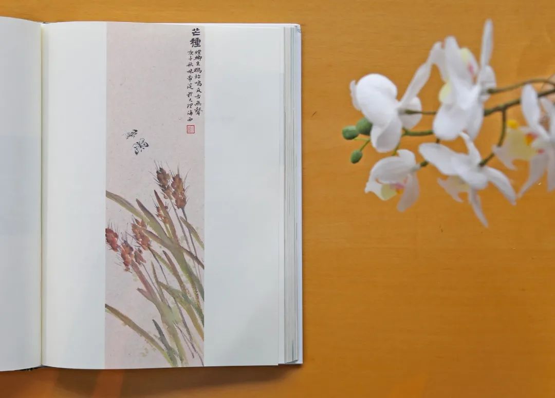 一定要看这本书,这才是给孩子最好的教育!(强烈推荐)