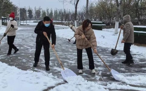 襄阳市图书馆开展“扫雪除冰  温暖读者”志愿服务活动